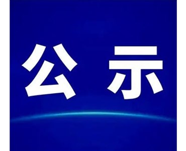 关于石化区公用管廊（滨海大道-滨海十二路段）一期项目施工招标计划标前公示